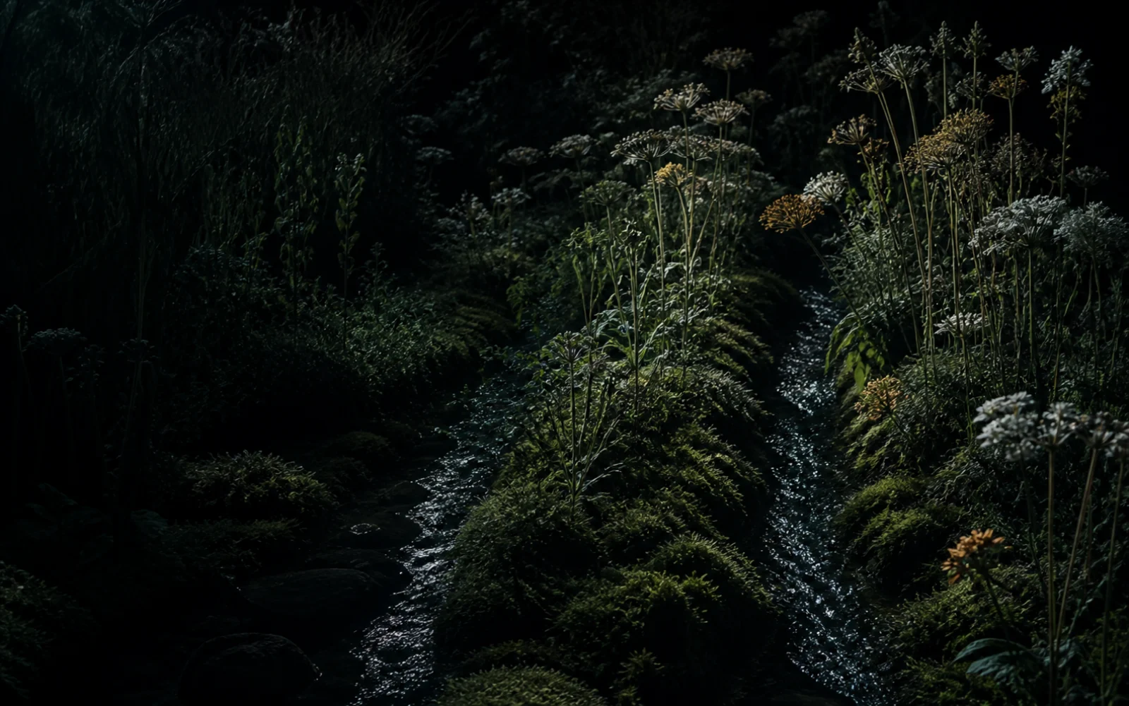Two streams separating through a dark landscape